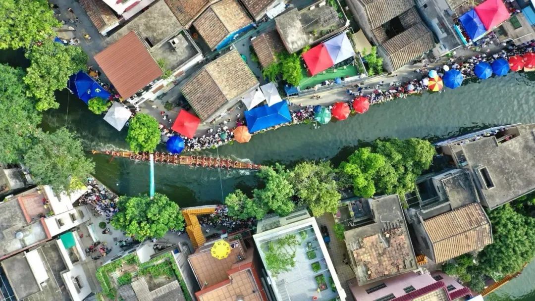 龙船文化体验活动,龙船文化番禺