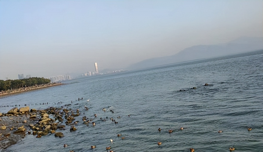 命不好怎么改命,命不好可以改吗