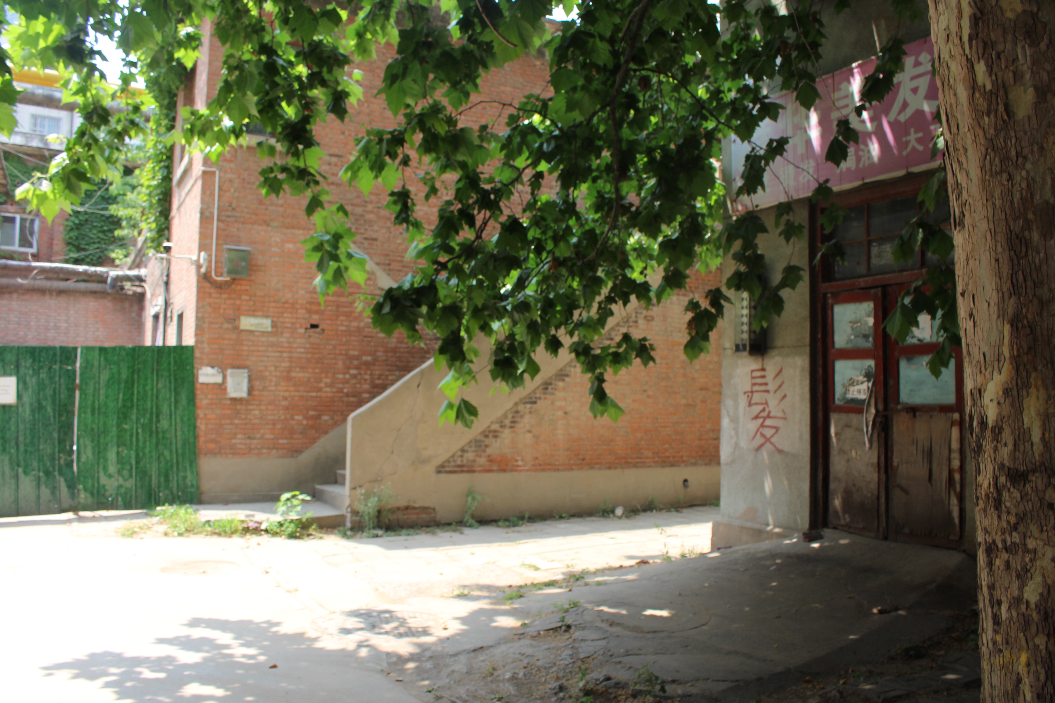 涓笀鐢熺殑鍘嗗彶鍥炲繂,涓笀鐢熷洖蹇嗗綍鍏ㄦ枃