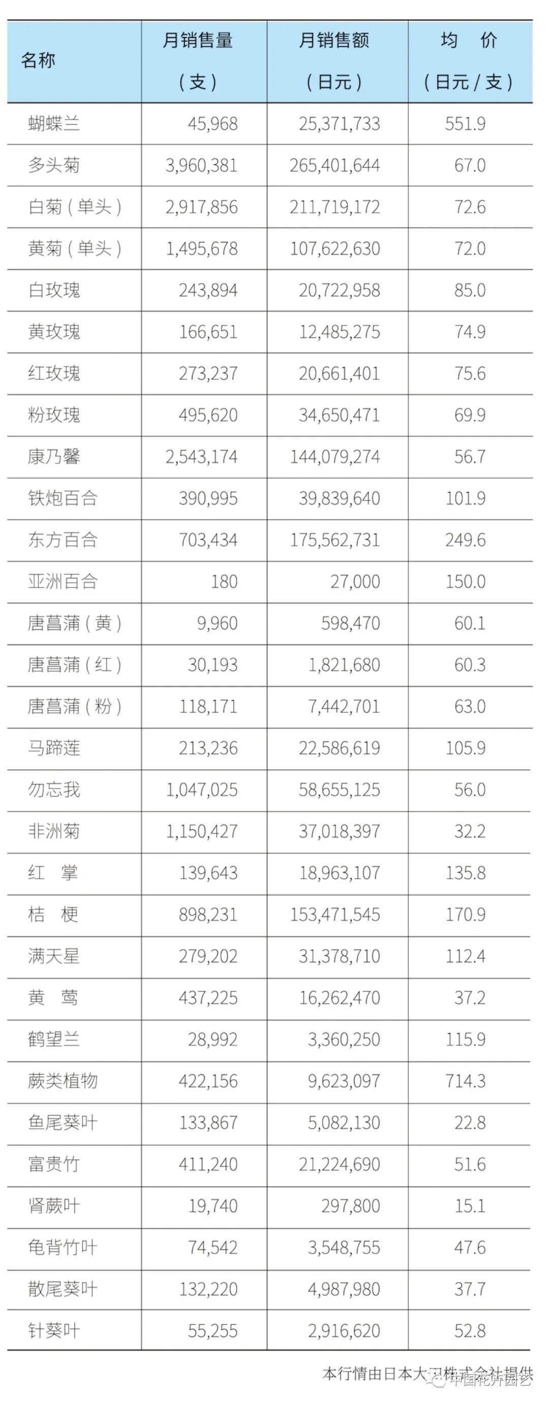 KIFA广州沈阳成都郑州昆明台北日本8月切花|行情