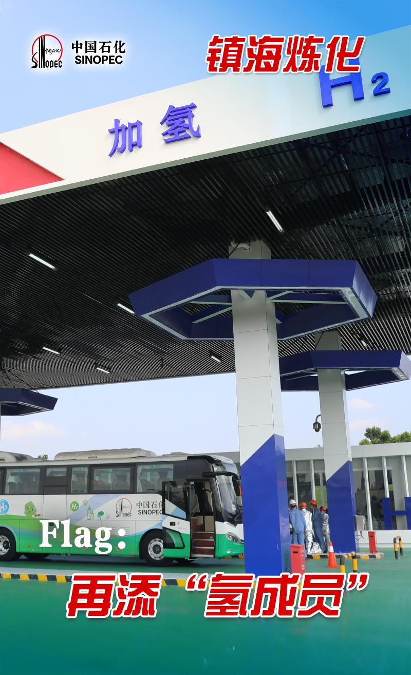 中国石化企业的现状,中国石化国内最新项目