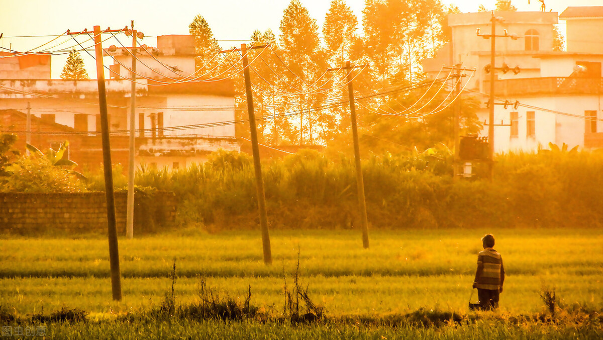 勤劳能致富后半句,勤劳就能致富的话