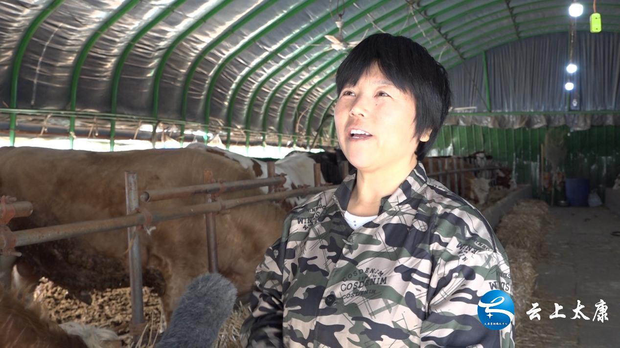 返乡创业当新农人,返乡当牛倌带着牧民共致富