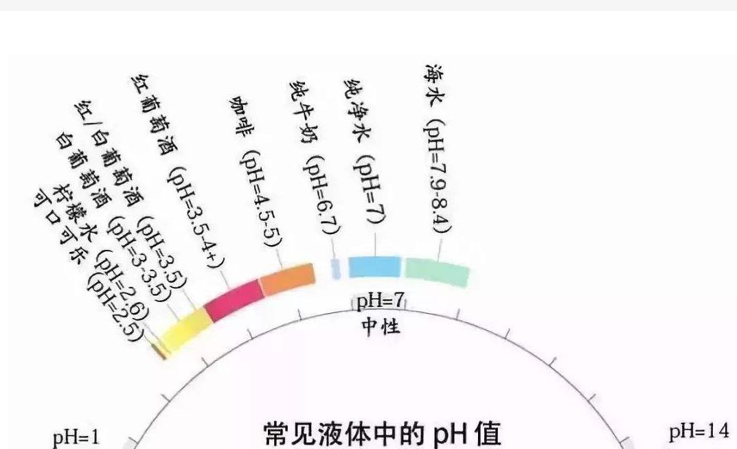 打破红酒玄学，用国人易懂的方式聊红酒篇一起源