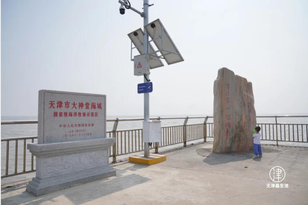 阳+34例！重磅好消息：开海，大波生猛海鲜来袭！天津人有多会吃