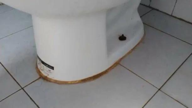 生活小窍门除马桶异味,生活小妙招马桶的污垢怎么清除