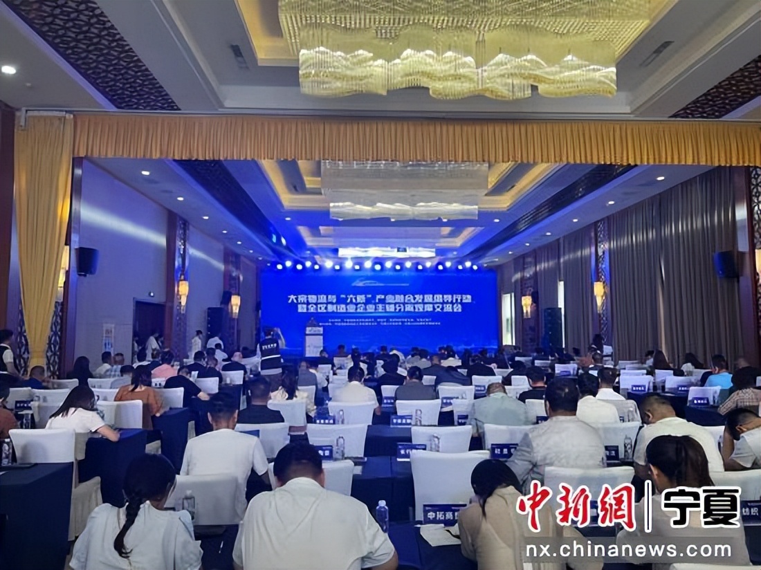 宁夏制造企业加快推进主辅分离推动大宗物流与“六新”产业融合发展