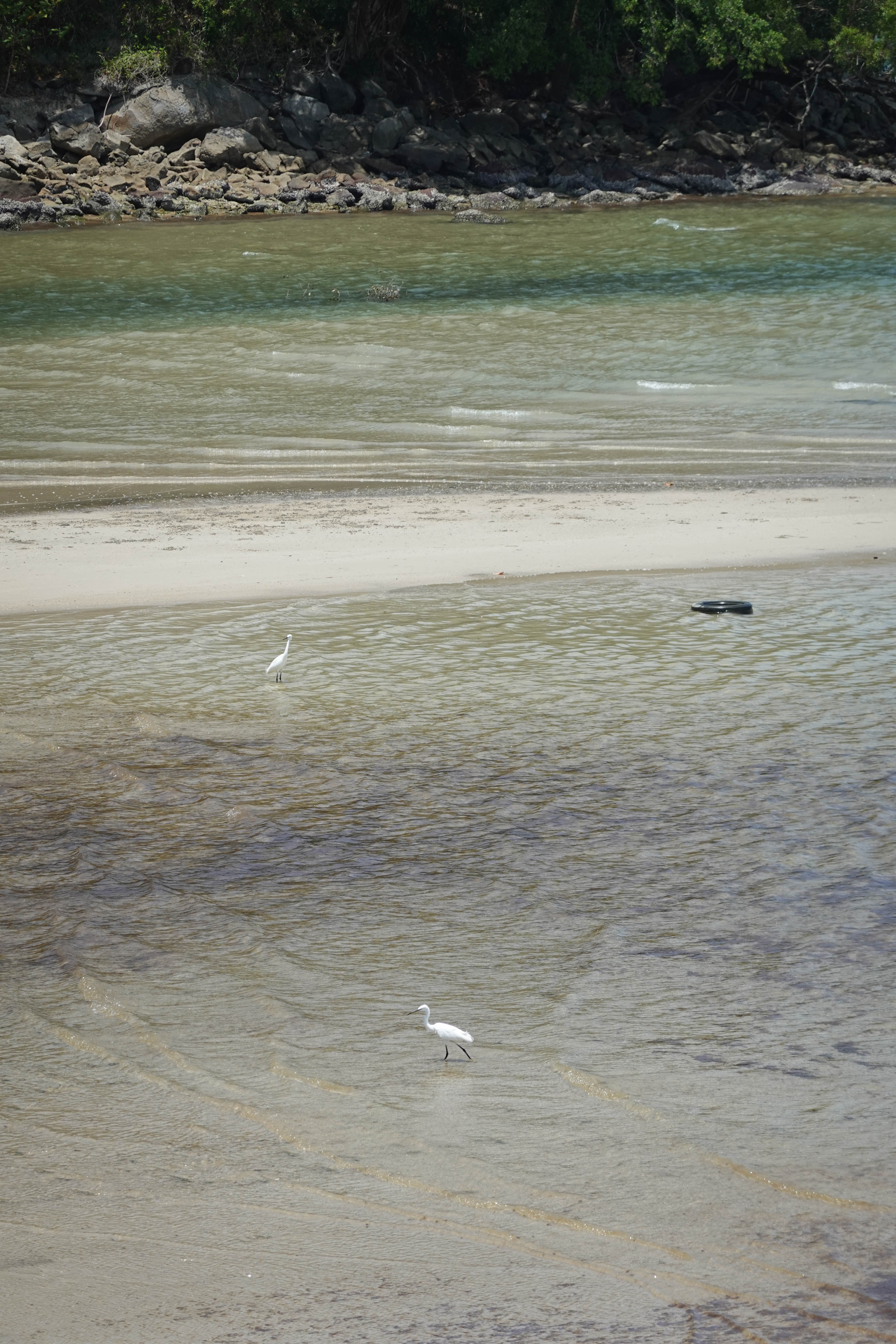 泰国物价为什么那么贵,泰国为什么越来越贵