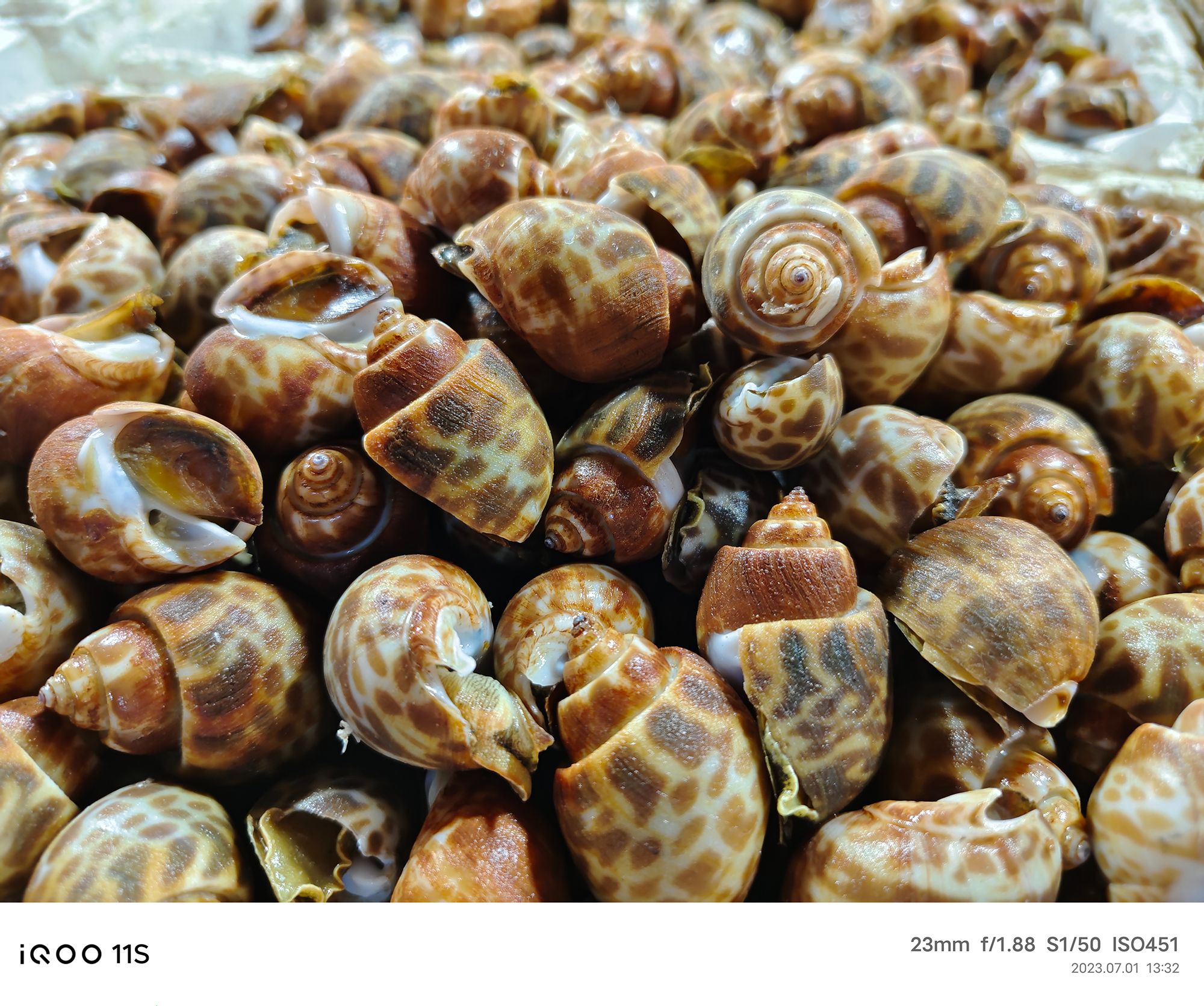 iQOO11S掀翻行业小饭桌，友谊小船真翻了：Super标准杯电竞旗舰