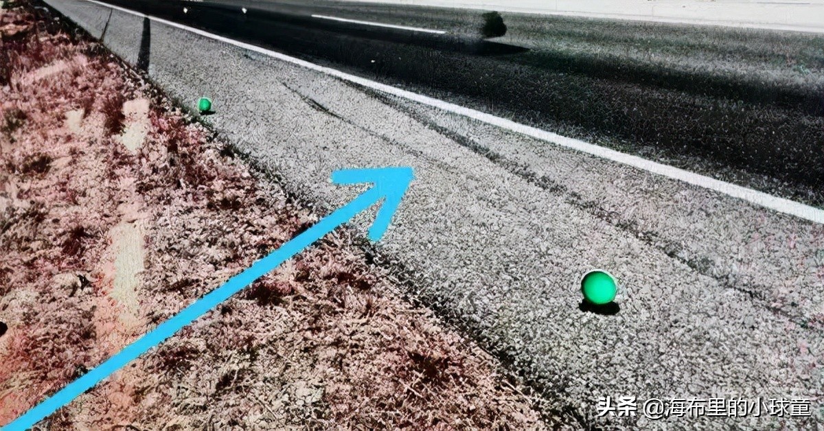 意外死亡足球巨星排名,惋惜20位意外去世的明星