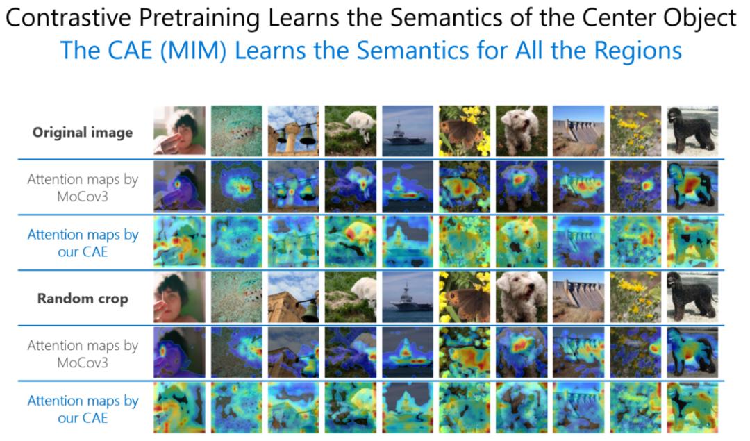 RACV2022观点集锦|视觉基础模型