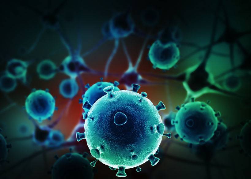 中医当归的主要功效主治,中医专家讲当归的作用和功效