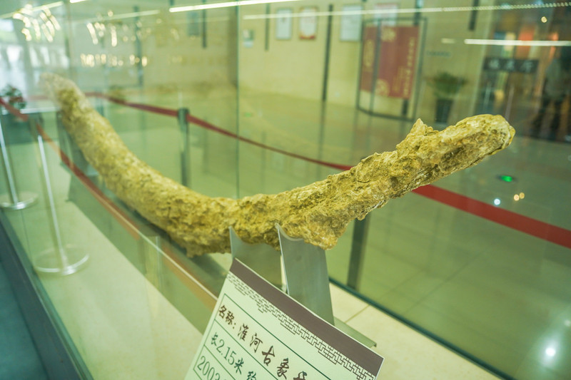 宿州景点哪里好玩一日游,宿州小众打卡