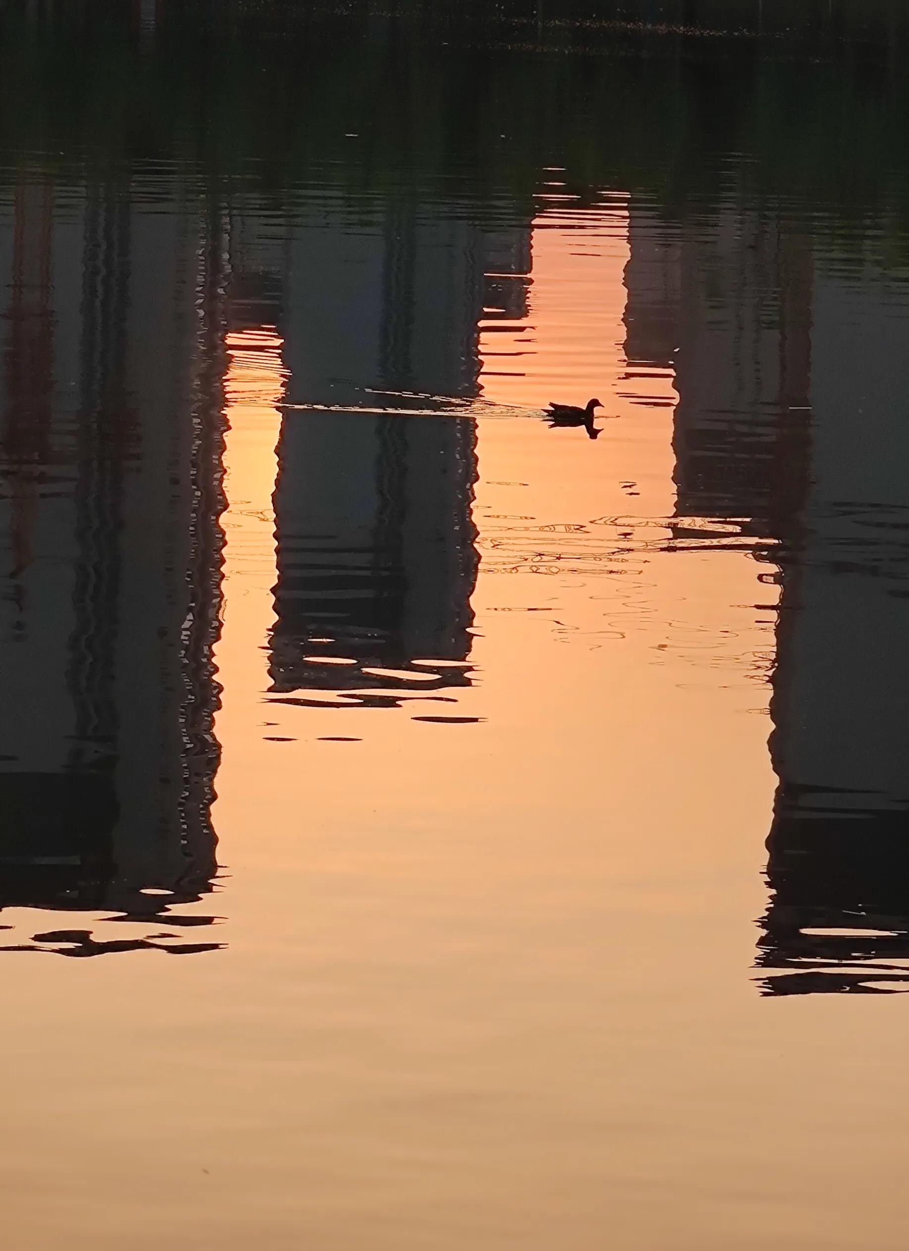 手拍世界近期作品,手拍世界完整版视频