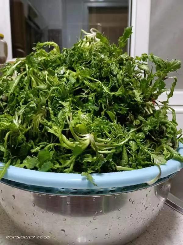 走进户县,欢迎回到西安户县