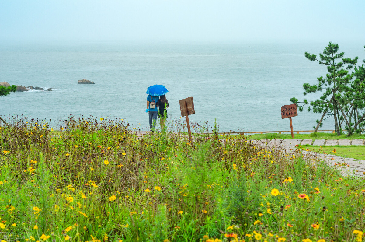 流浪猫度过严寒,流浪猫狗最难熬的日子