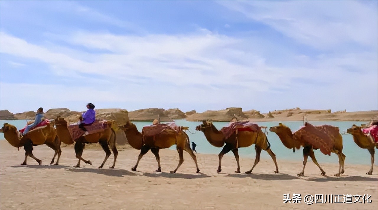 大象那么凶猛为什么它不吃肉,大象没什么天敌为什么数量那么少