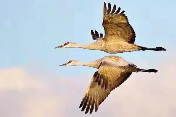 2022年合康高铁走向,合康高铁纳入国家规划