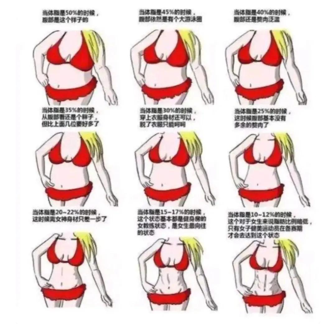 健身怎么保持低体脂,健身体脂一直降不下去怎么办