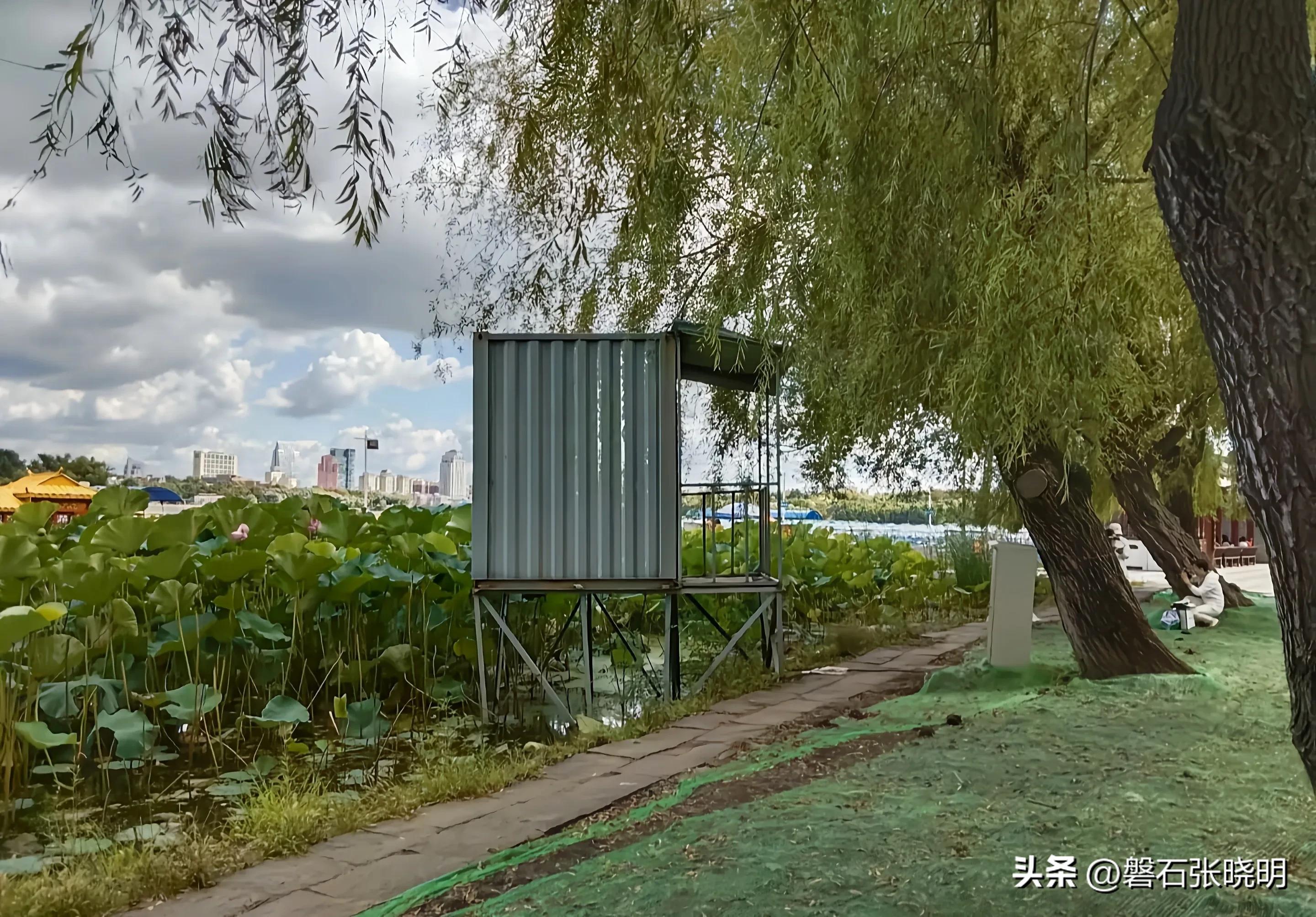 说说今天我在吉林省长春市南湖公园的所见所闻所感