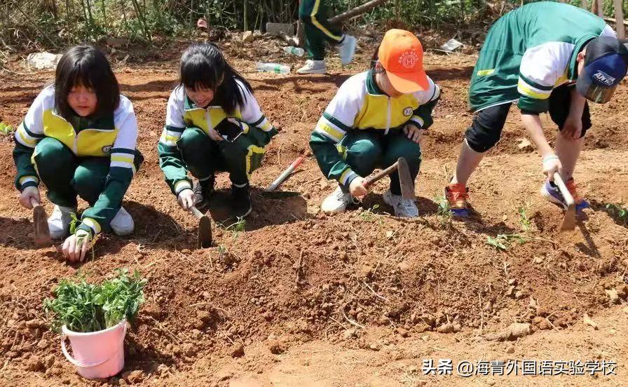 海青外国语实验学校小升初,海青外国语实验学校初中部怎么样