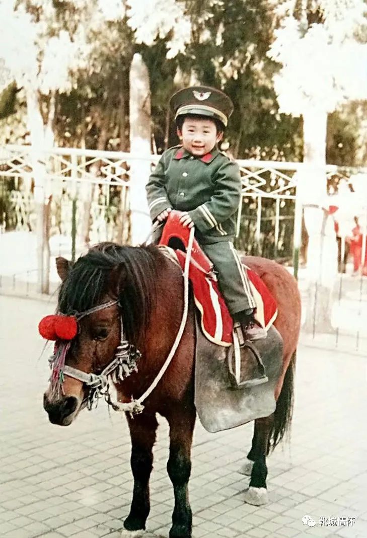 靴城记忆,靴城情怀保定黎枢