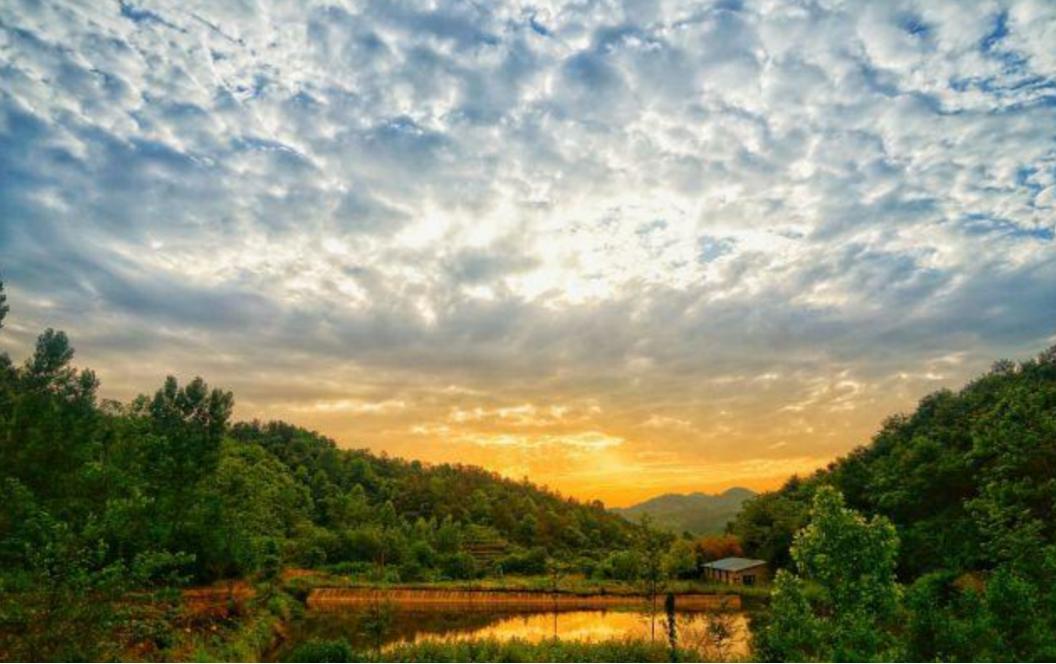 安徽一地多人遭雷击2人身亡,2003年安徽村民遭雷劈死亡