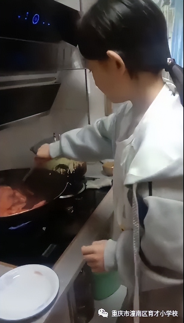 重庆劳动教育小学,重庆市潼南区育才小学的图片