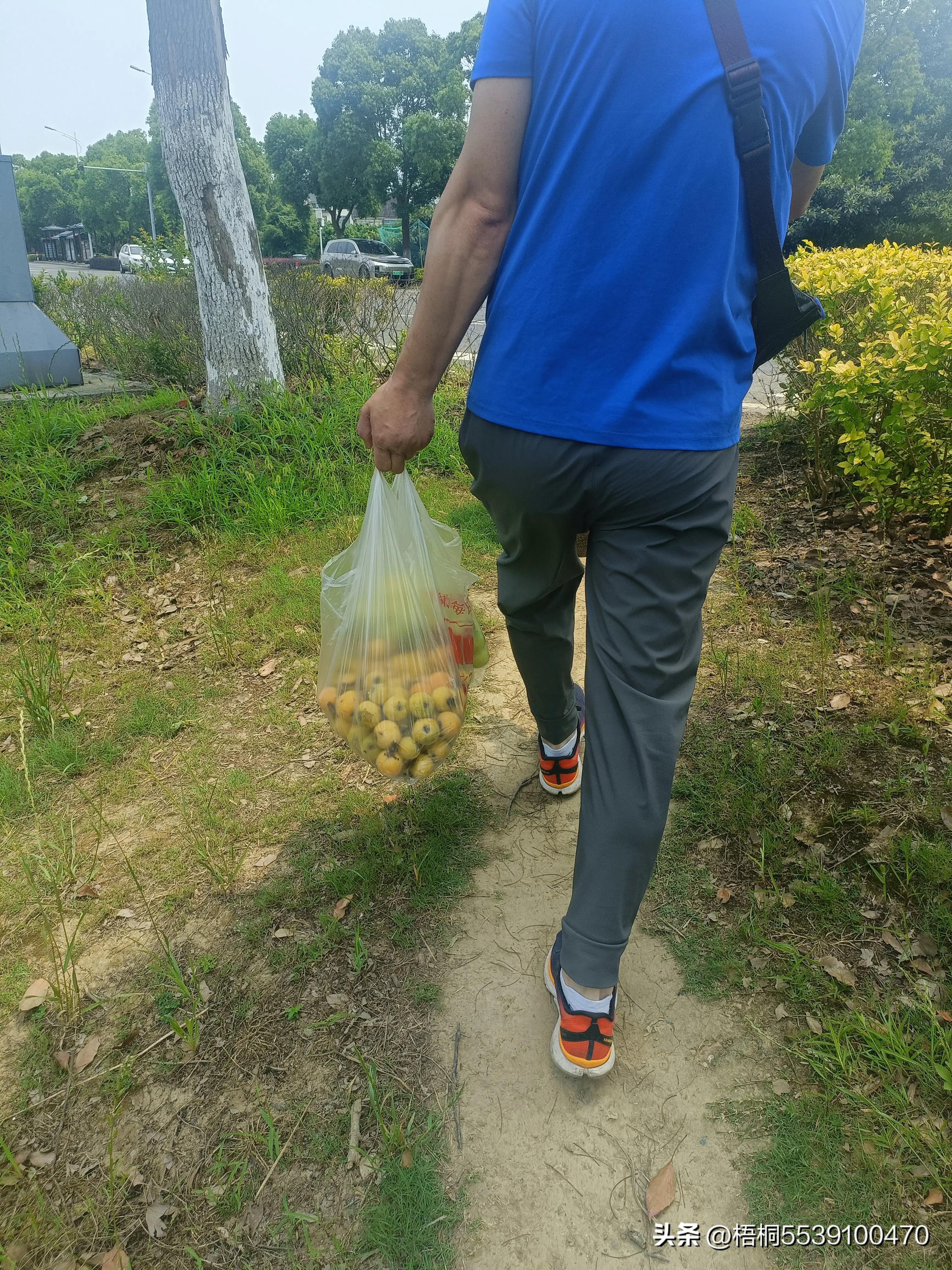 苏州洞庭西山有什么好玩的,苏州太湖东山还是西山好玩