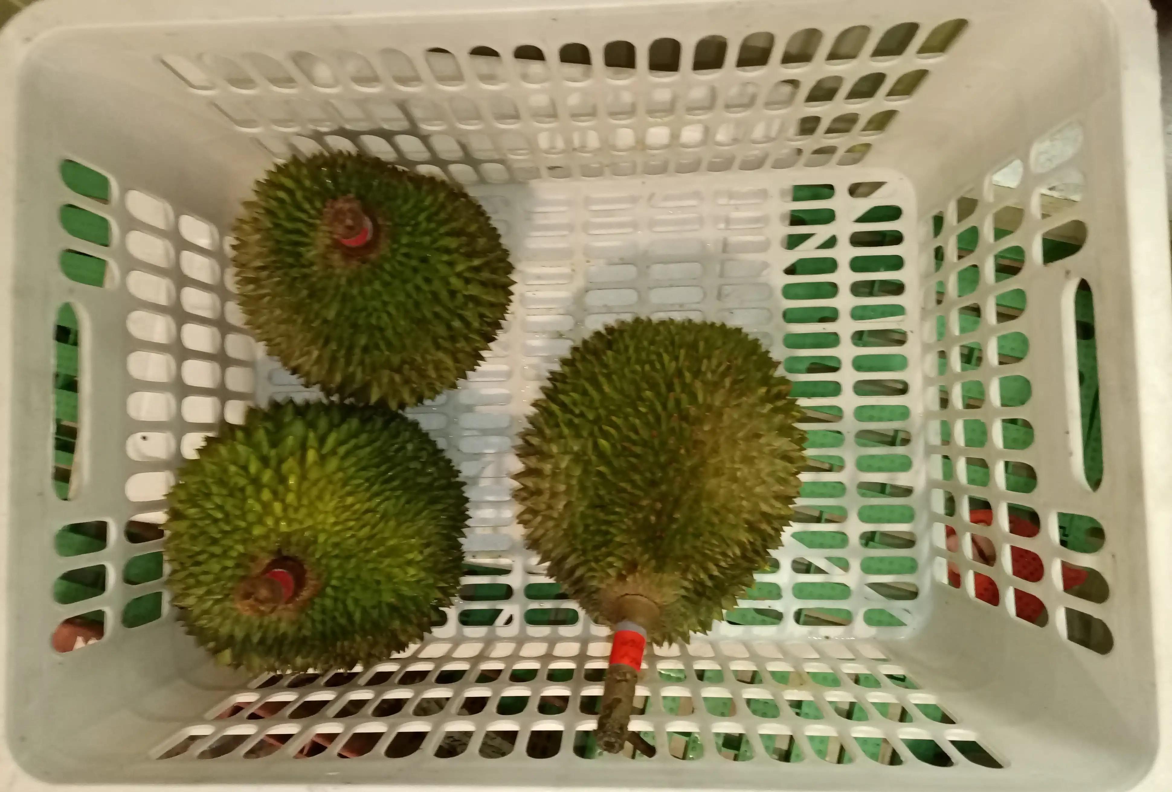 跑船这么多年，在船上没有吃到的水果是这个