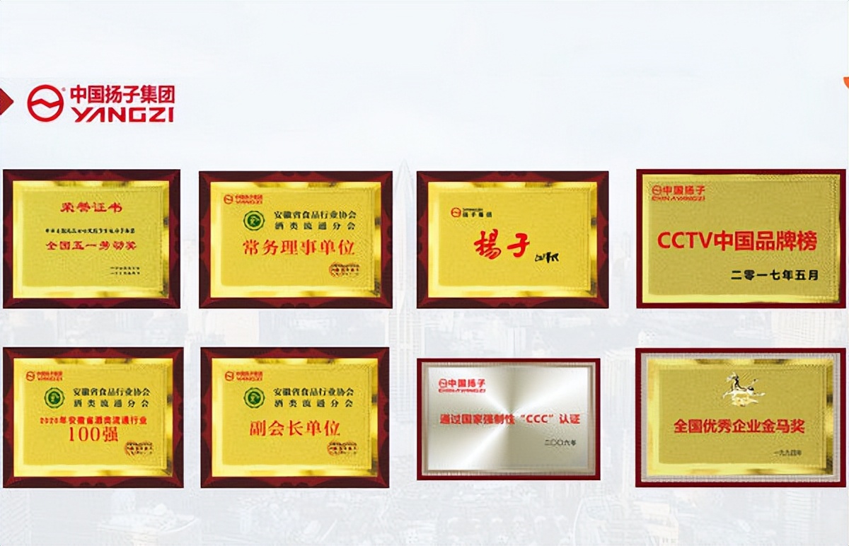 扬子啤酒跟扬子集团有什么关系,扬子啤酒骗局