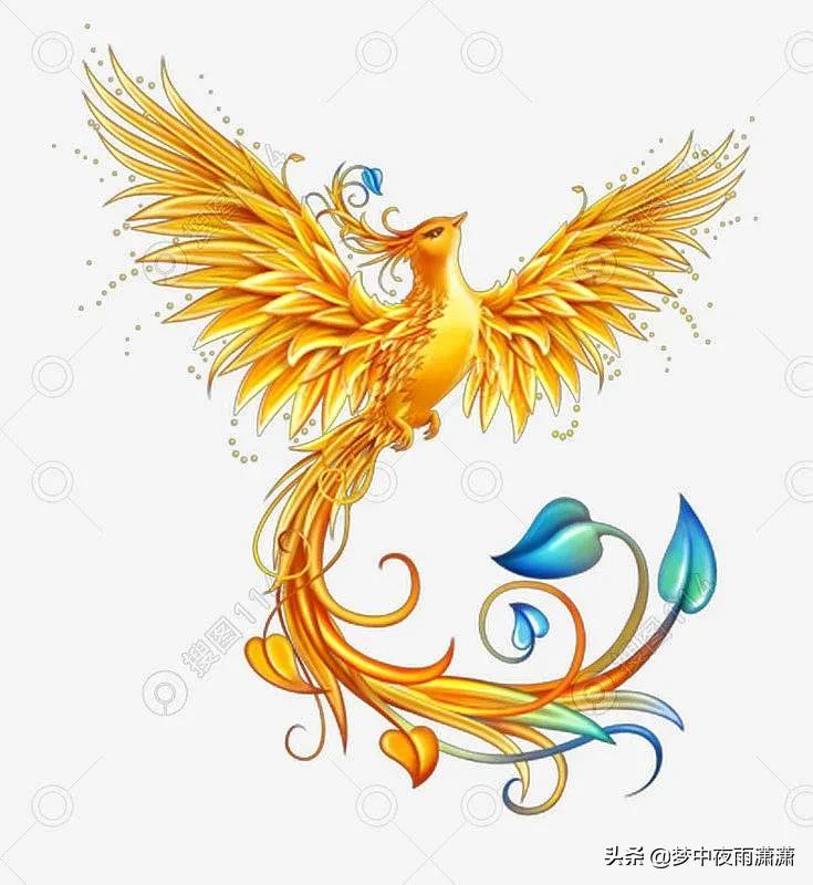 浴火涅槃重生,浴火涅槃