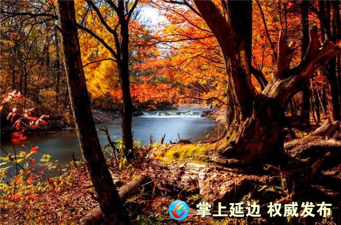 层林尽染色彩斑斓,层林尽染秋之韵图