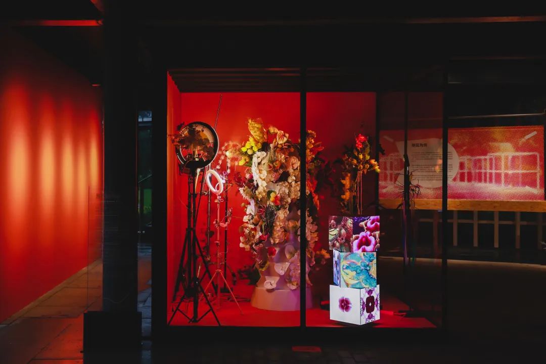 深圳香蜜公园参观指引,深圳光影艺术季攻略