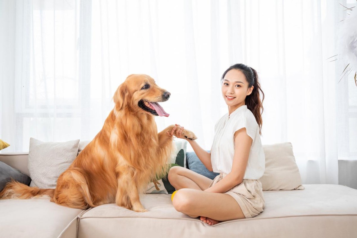 做真实的自己不去伪装,治愈社交恐惧的话