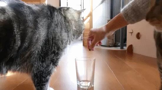 女孩子问我404是什么意思,女孩子说404是什么意思