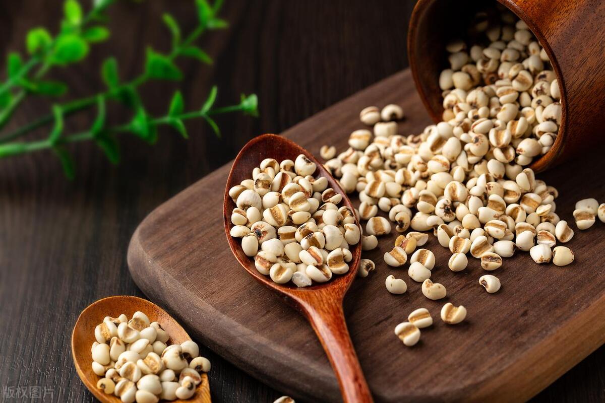 吃薏米的好处有哪些,薏米为啥有美白功效