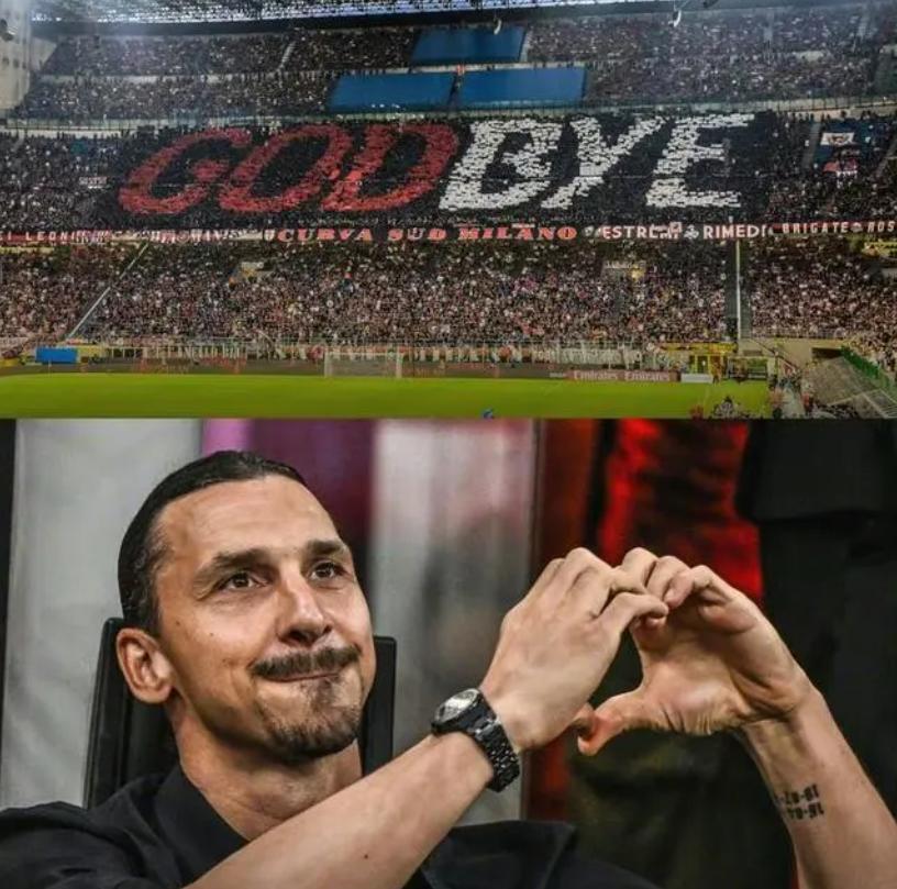 大奉先伊布脱球衣,大奉先伊布报仇集锦