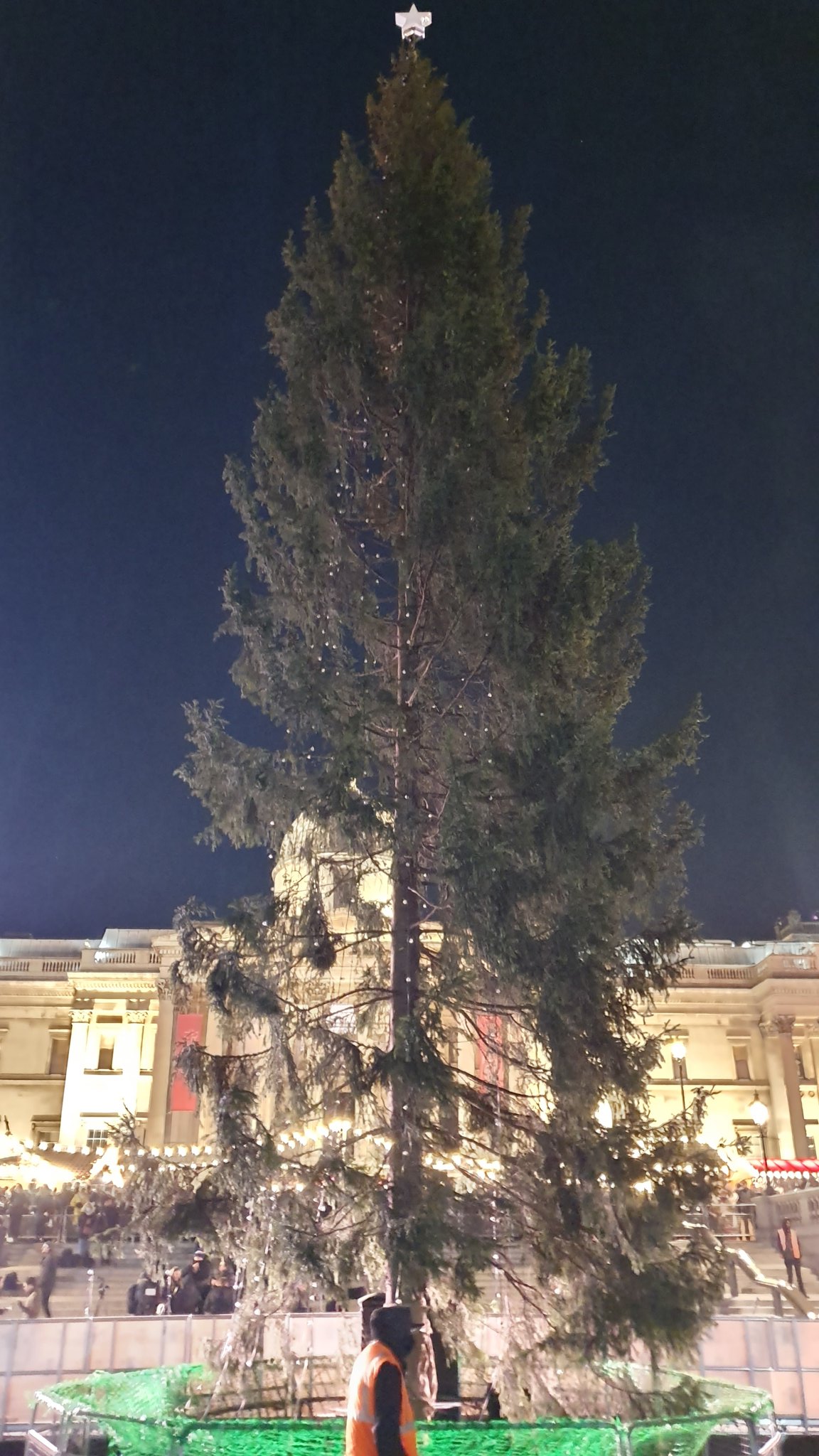 挪威给英国的圣诞树被吐槽,挪威英国圣诞树