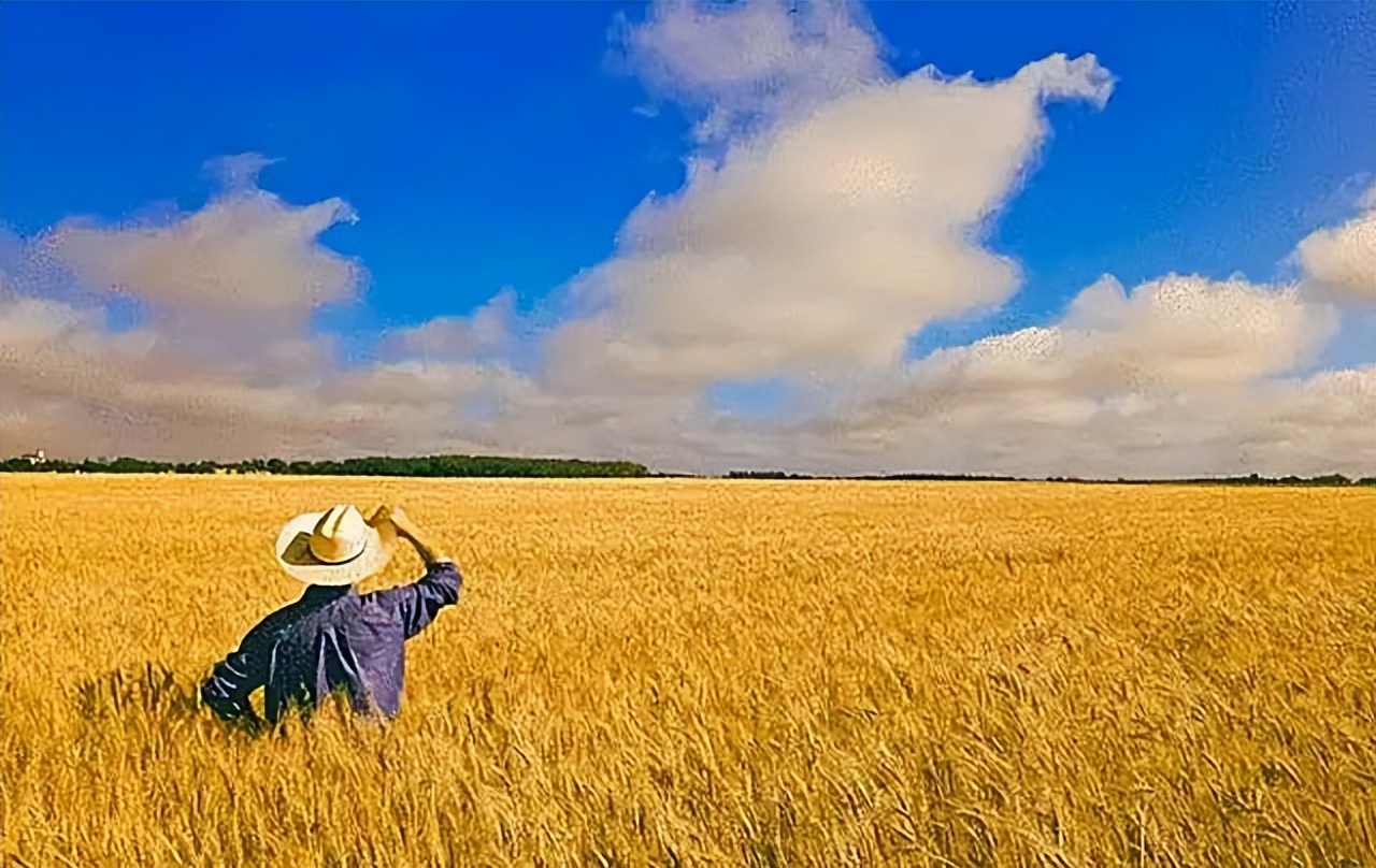 19年加拿大巨轮被堵厦门外海，损失十多亿美元，加总理尝到了苦果