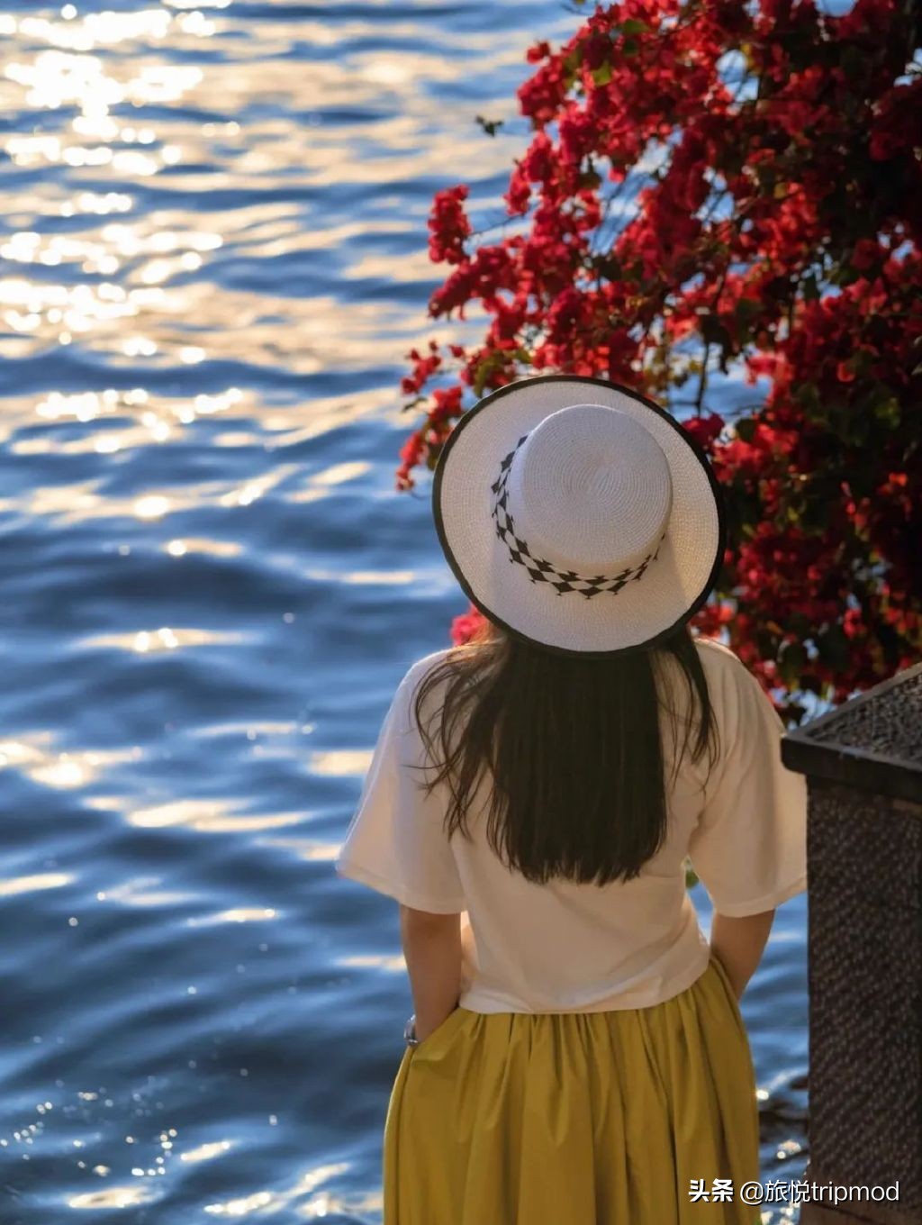 三亚免费适合自驾的环海公路,三亚最美环海公路推荐