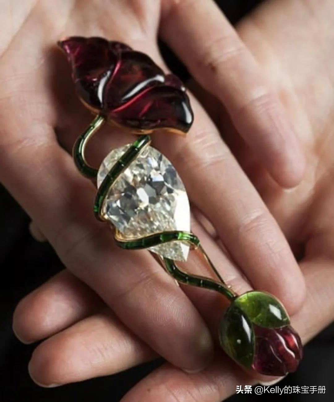 传奇女性系列｜镀金百合：LilySafra巴西女首富的故事