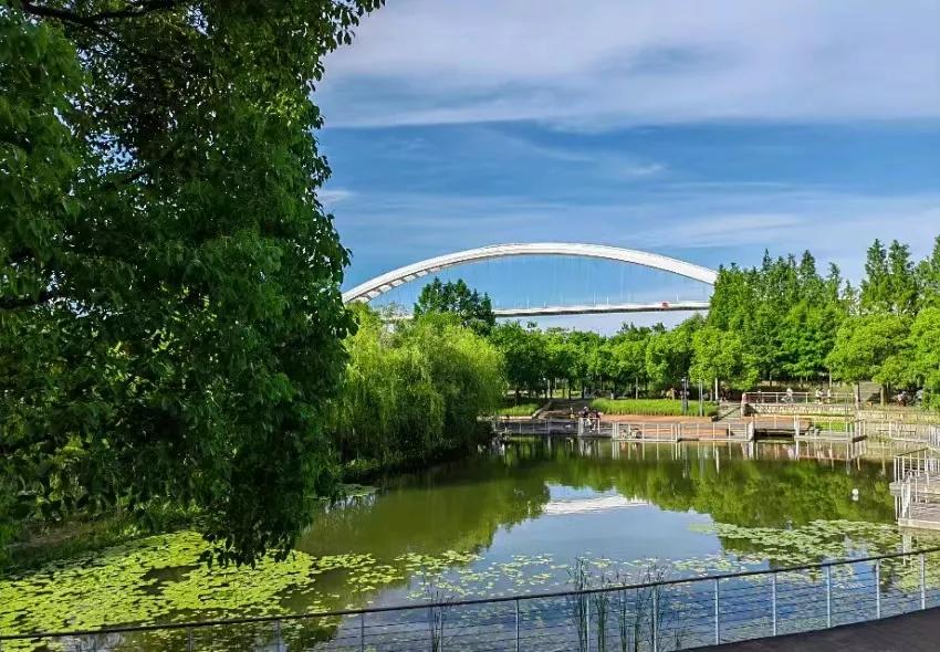 上海浦西滨江骑行攻略,上海休闲路线