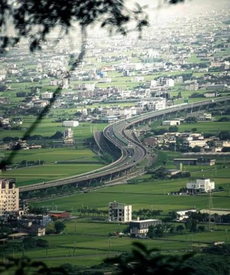 冥界之花为什么叫起死回生的仙草,大量出现冥界之花的预兆