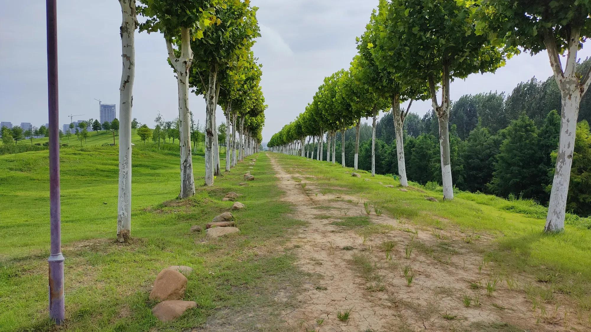 安康到合肥自驾沿途旅游景点,合肥哪些旅游景点春节期间免费