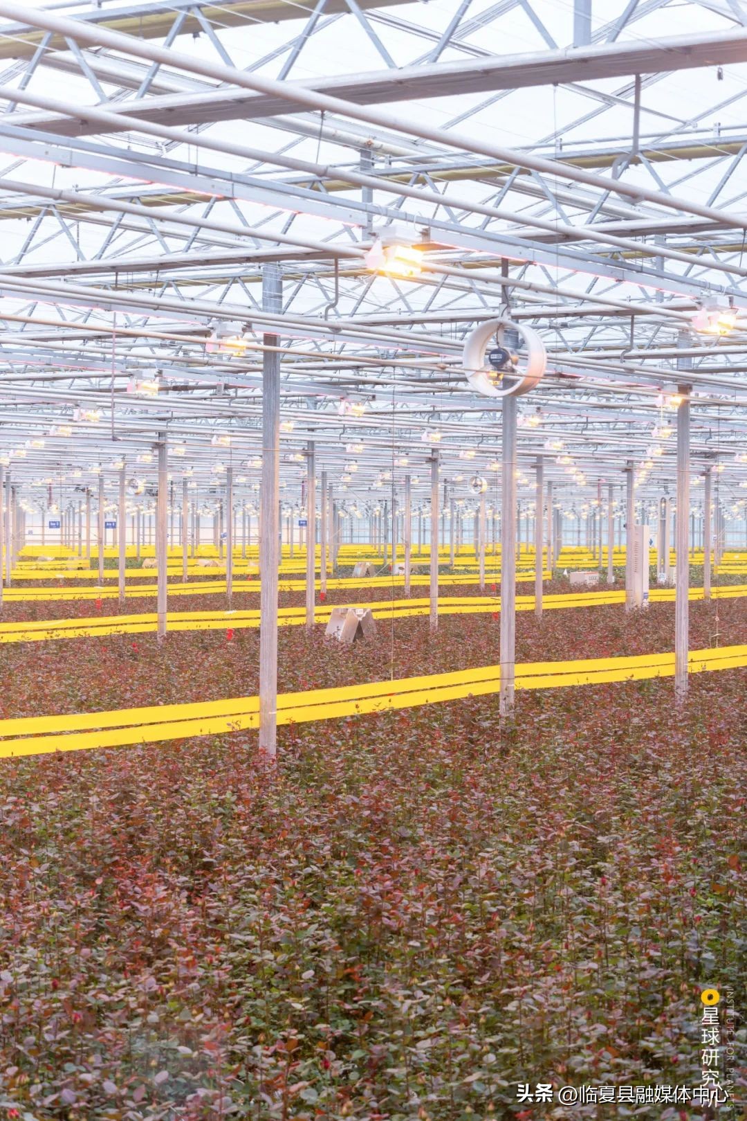 现在甘肃临夏的风景是真美,甘肃临夏风光视频