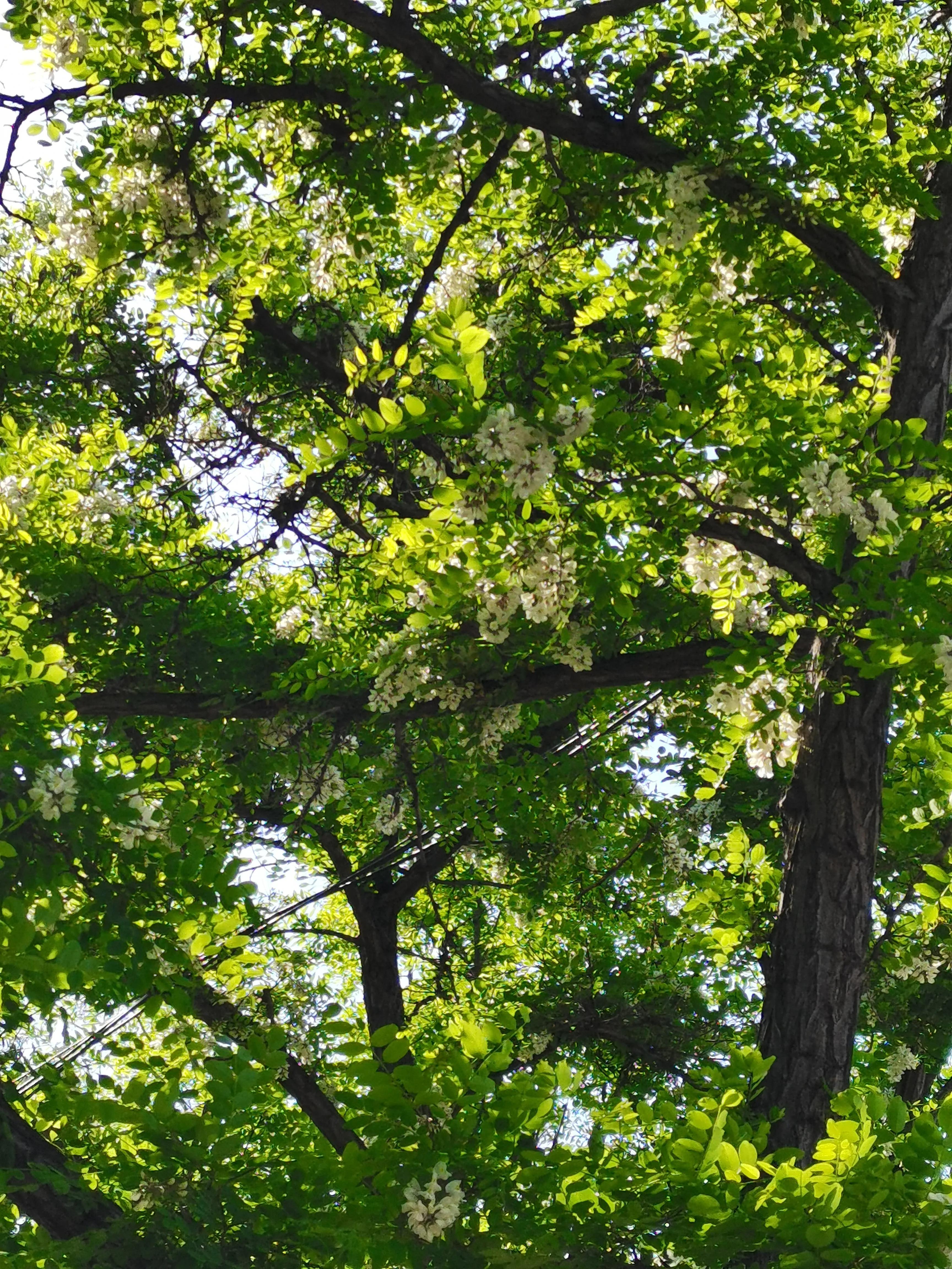 生活日记家的味道,生活札记300字