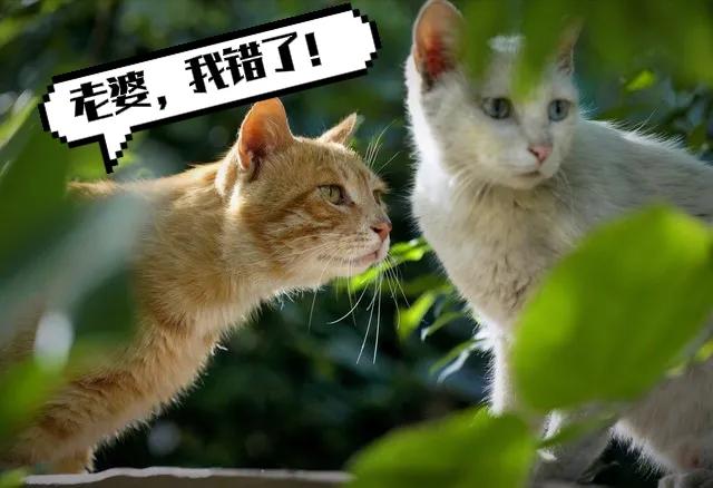 老公深夜喝酒回来我该怎么对待他,老公喝酒半夜回家我该怎么对待他