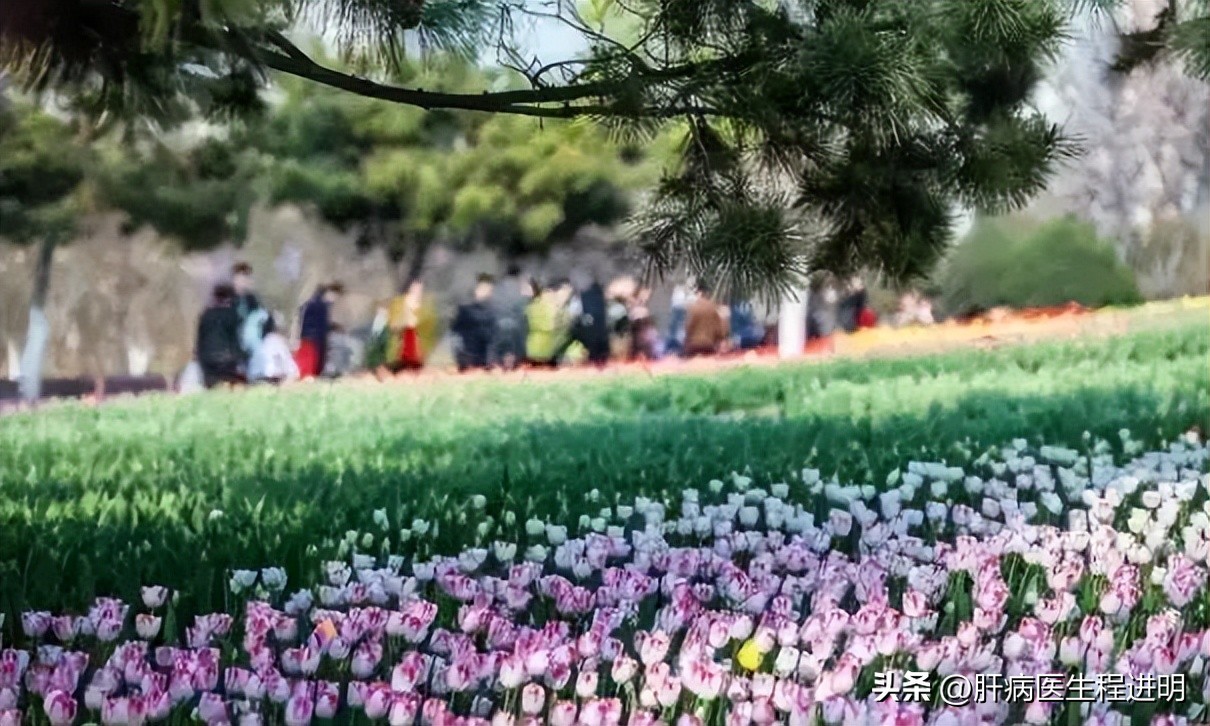 一位肝腹水患者的康复案例,我的肝硬化治疗经验分享