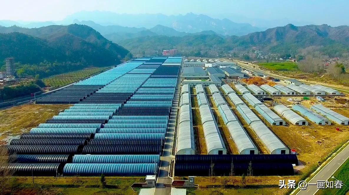 李湛冰｜魔棒惊太行